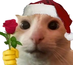 catRose emote