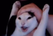 YIPPEE emote