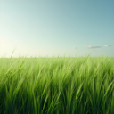 grass_field static emote