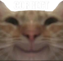 correct emote
