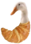 quacksant emote