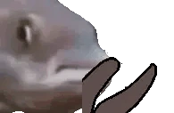 FishClap emote