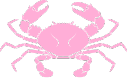 zodiactransparent_IDS static emote
