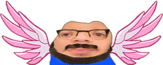 wings221 emote
