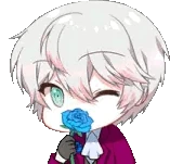 ray_kiss emote