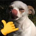 AufDog emote