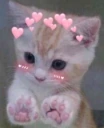 AmoreLapki emote