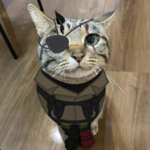 sr9x39mmtv avatar