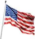 USA_flag emote