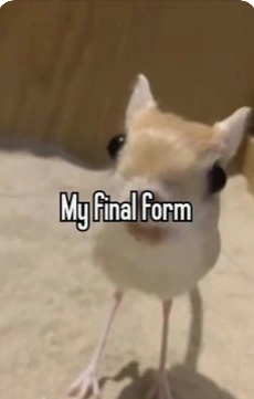 my_final_form emote