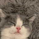 zzz emote