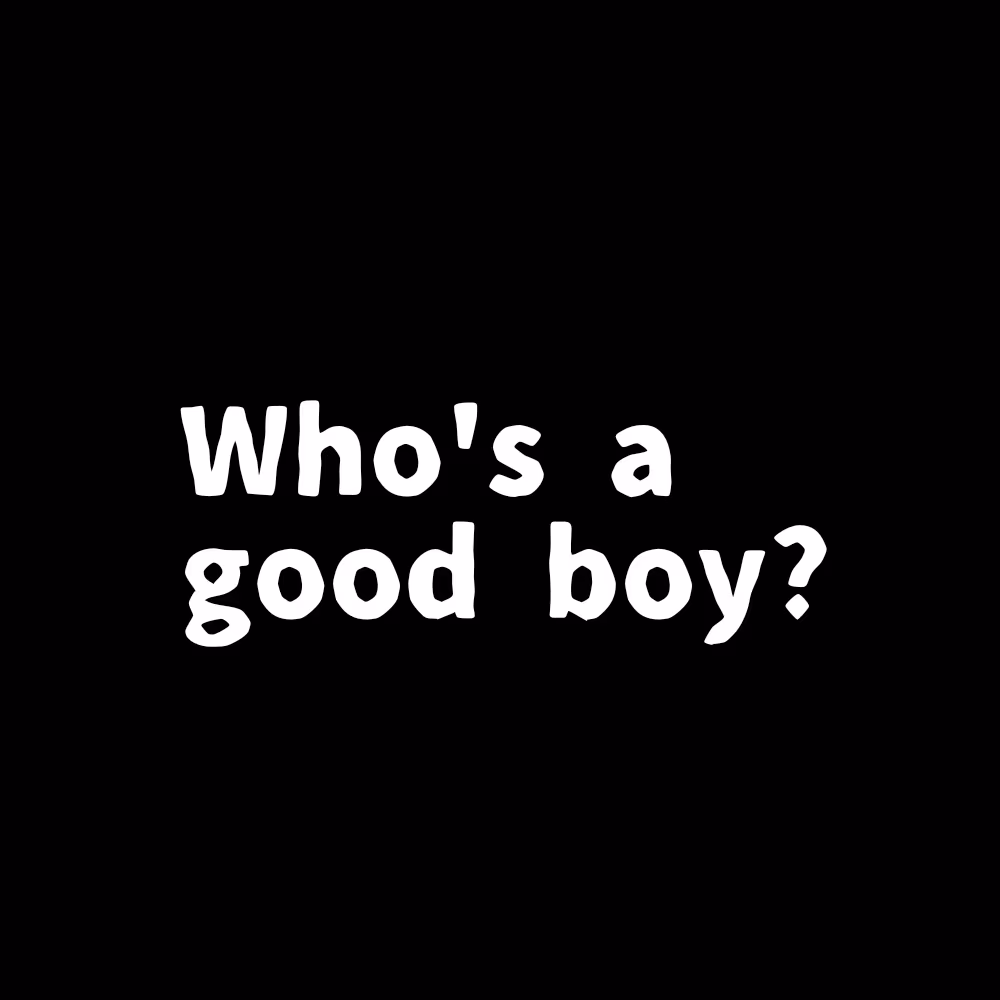 Goodboy emote