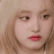 lizwhat emote