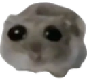 oh emote