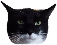 Felixbruh emote