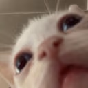 CE_whaaa emote