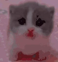 Scared emote
