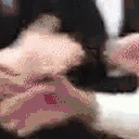 KING emote