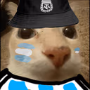 dosepibe emote