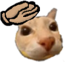 d7 emote