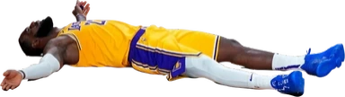 lebronF emote