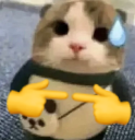 oopsieshy static emote