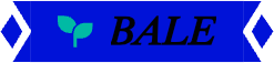 Bale static emote