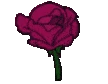 FlowerDarkPink emote