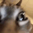 LosingSanity emote