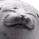 sealSmile emote