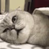 CE_SleepTime emote