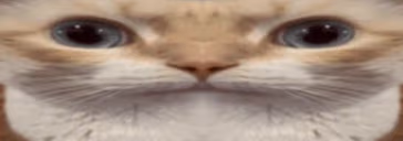 uuhuu emote