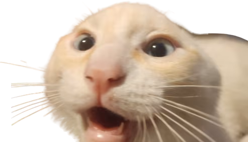 cat emote
