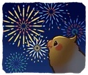 birbfireworks emote