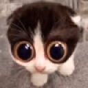 MONKAS emote