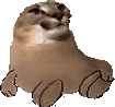FloppaJAMsit emoji