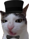 PoshCat emote