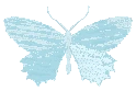 bluebutterflyholopastel emote