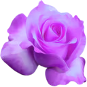 purple_flower emote