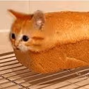 Bread_Cat emote