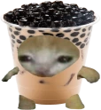 bobacat emote