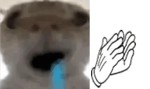 brc emote