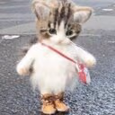 roaming emote