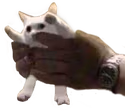 grasp emote