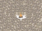 catsittingwitheverysingleoneoftheirfriends emote