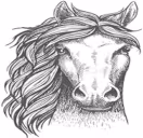 HOWHUNGRY emote