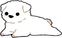 westie_white emote