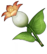 Item_Calla_Lily emote