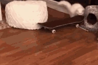 skate emoji