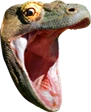 KomodoHype emoji